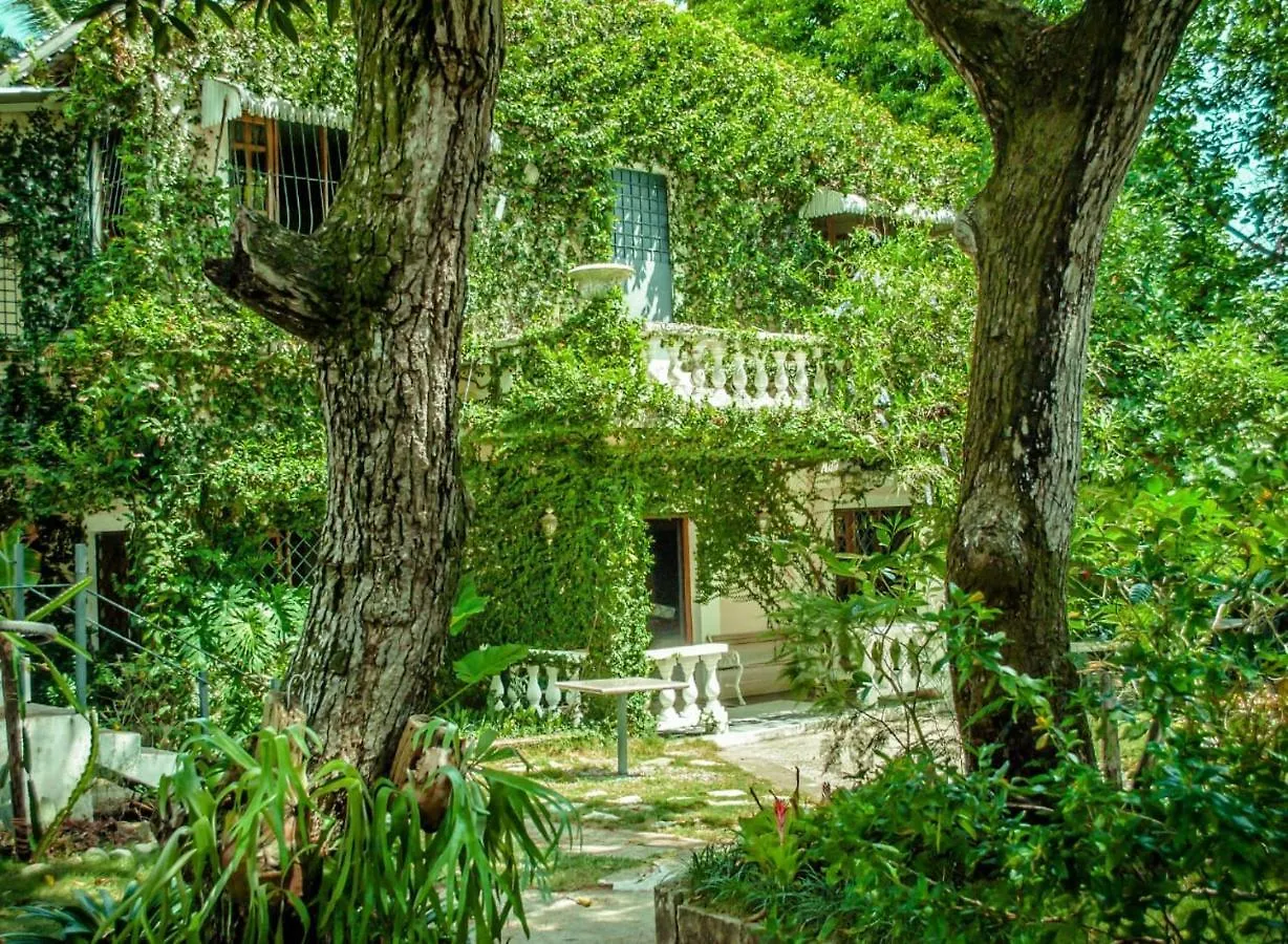 ** Bed & Breakfast Villa Carolina Bed And Breakfast Puerto Plata Dominican Republic